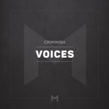 Artwork for "Voices"