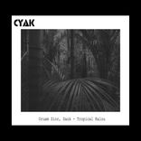 Artwork for "Tropical Kalou"