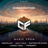 Artwork for "Hybridization, Vol. 1"