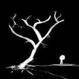 Portada para "Kodama"