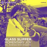 Artwork voor "Momentary Joy"