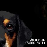 Artwork for "Who Are You"