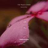 Artwork for "Too Much Pain"