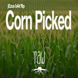 Artwork for "Corn Picked"