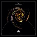 Artwork for "Episyrphus Balteatus"