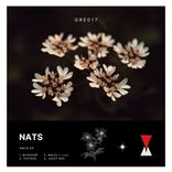 Artwork voor "Anijs EP"