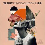 Artwork voor "Funk Evolutions # 24"