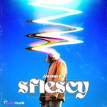 Portada para "Sflescy"
