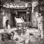 Artwork for "Insane"