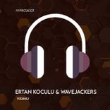 Artwork voor "Vishnu"