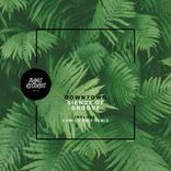 Portada para "Sience of Groove"