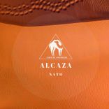 Portada para "Alcaza"