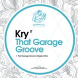 Artwork voor "That Garage Groove"