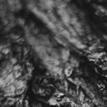 Artwork for "Prefer"