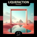 Artwork for "Provide"