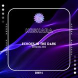 Artwork for "Echoes in the Dark"