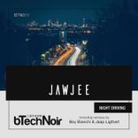 Portada para "Night Driving"