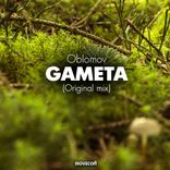 Gameta