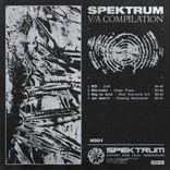 Artwork for "Spektrum VA 001"
