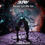 Artwork for "Never Let Me Go"