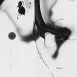 Artwork for "Confused"