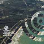 Artwork for "Vibrant Vibeland #25"