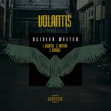 Artwork for "Volantis EP"