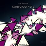 Artwork for "Consciousness (Original Mix)"