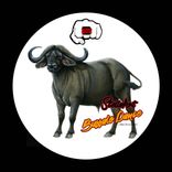 Artwork for "Buffalo Dance"