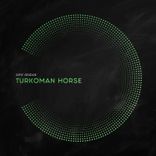 Turkoman Horse