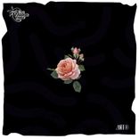 Portada para "Pijn, Geluk"