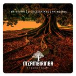 Artwork for "Mzambiringa"