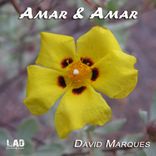Amar & Amar