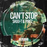 Artwork for "Can't Stop"