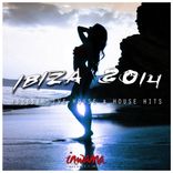 Artwork for "Ibiza 2014"