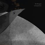 Portada para "Schizophrenic"