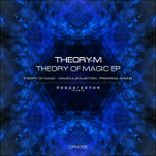 Theory of Magic