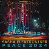 Artwork for "Peace 2024"