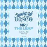 Artwork for "The Leap"