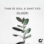 Artwork for "Olkeri"