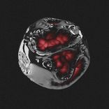 Artwork for "Dinamita"