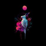 Artwork for "A Birds Life"