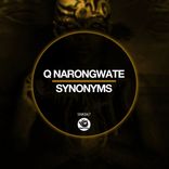 Artwork for "Synonyms"