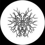 Artwork for "Acta Non Verba"