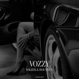 Artwork for "Vozzy"