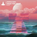 Artwork for "What You Want"