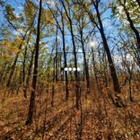 Artwork for "Giving Up (John Steel remix)"