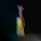 Portada para "Living Fields"