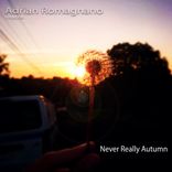 Artwork für "Never Really Autumn"