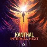 Artwork for "Internal Heat"